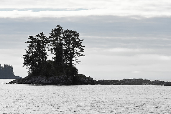 DSC_3752A