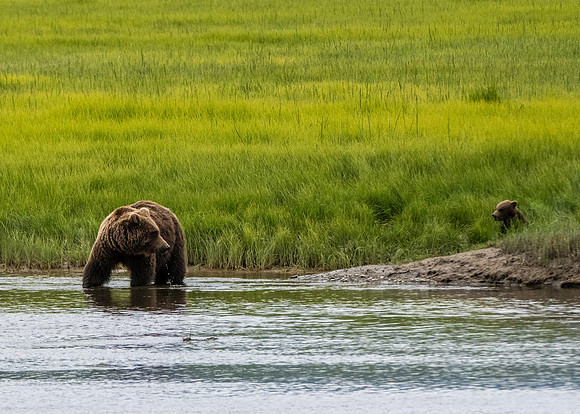 _WLC5266