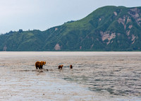 WLC_0962
