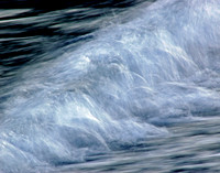 Tidal Abstract #1 - Fox Island, Alaska