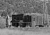DSC_0368-2