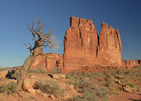 DSC_0011-1